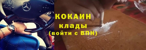 прущие грибы Арсеньев