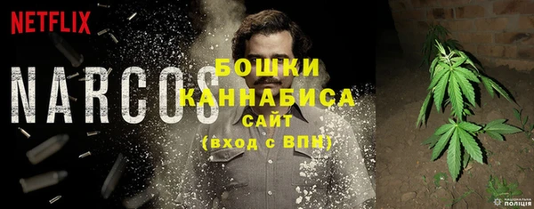 прущие грибы Арсеньев