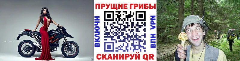 Галлюциногенные грибы MAGIC MUSHROOMS  блэк спрут рабочий сайт  Гремячинск 